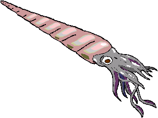 Nautiloid