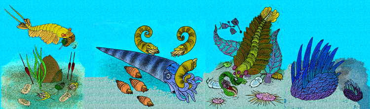 Sketch of a hypothetical Cambrian fauna