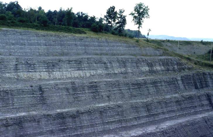 Seismite in the upper Fairview Formation