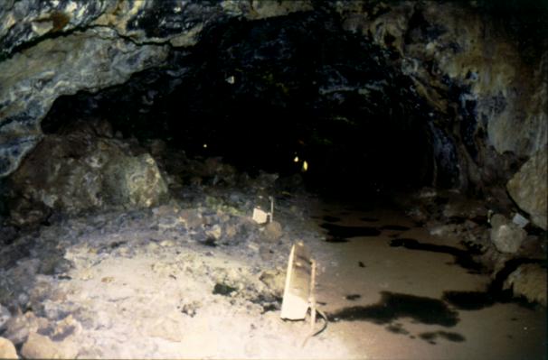 The Mushpot lava tunnel