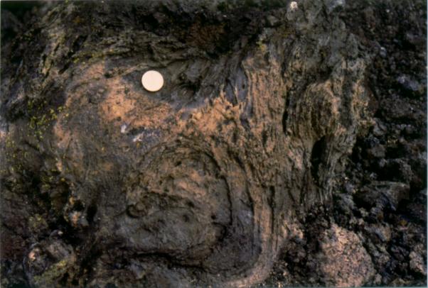 A small swirl of pahoehoe lava