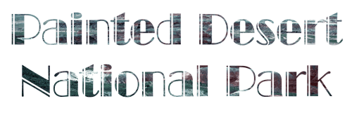 Grand Canyon Trip - Petrified Forest National Park