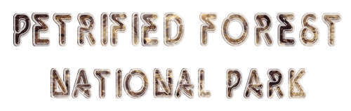 Grand Canyon Trip - Petrified Forest National Park