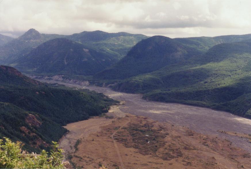 Toutle River Valley and elk island
