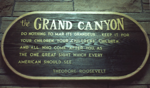 Roosevelt quotation