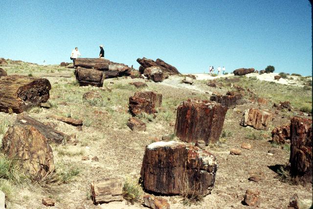 Rainbow Museum nature trail
