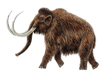 imperial_mammoth (32K)