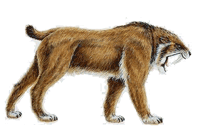 sabertooth_cat (10K)