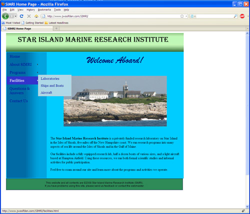 Screenshot: SIMRI fictional website